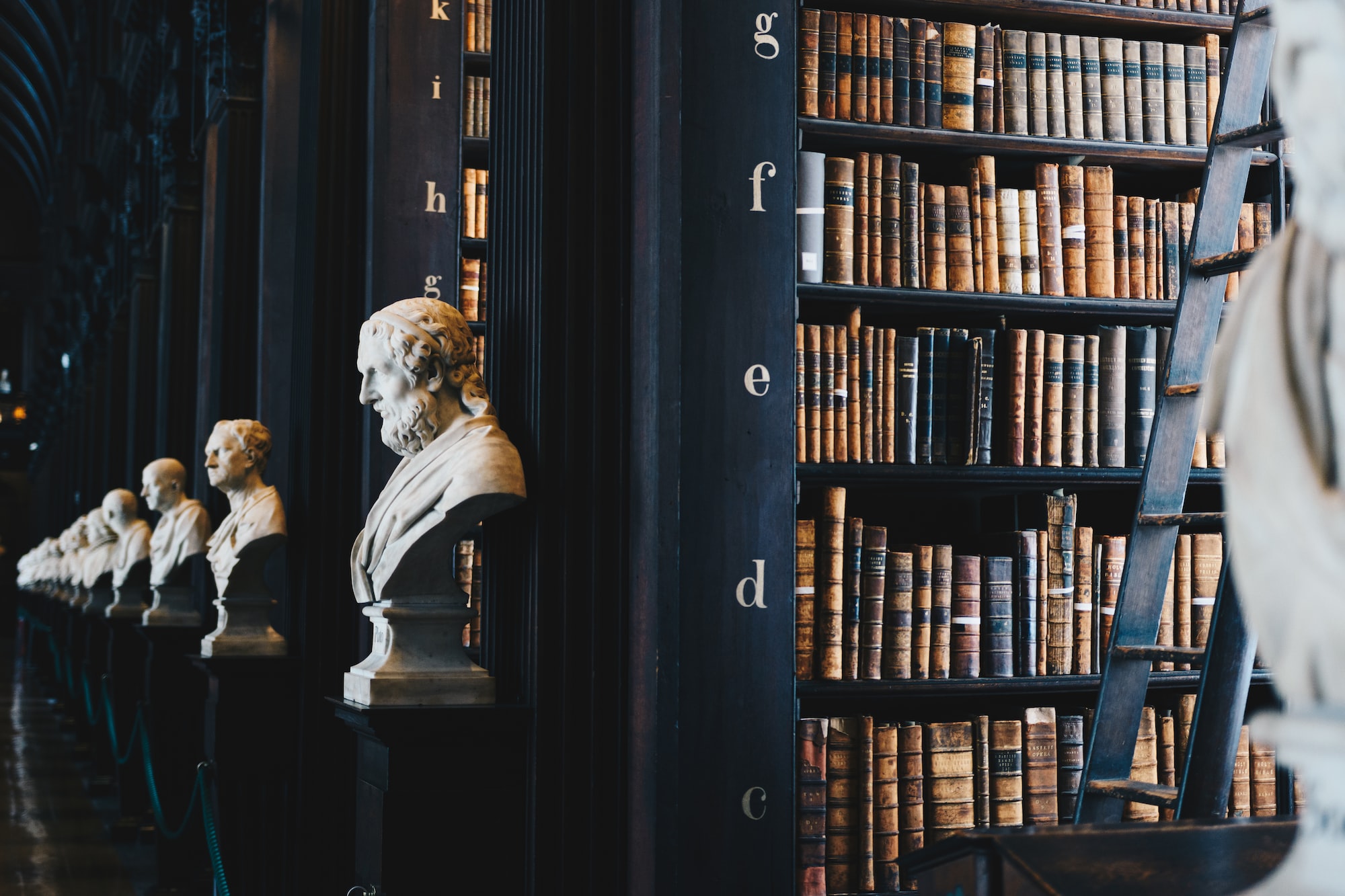 An ornate library with many busts in a row
